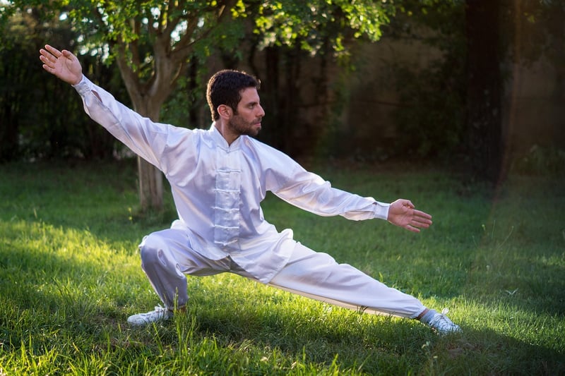 Tai Chi Movements Explained
